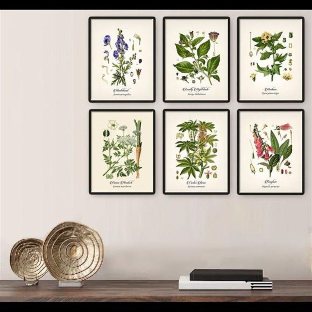 COPY - Vintage Botanical Poisonous Plant Floral Print Set Wall Art Prints Set o…